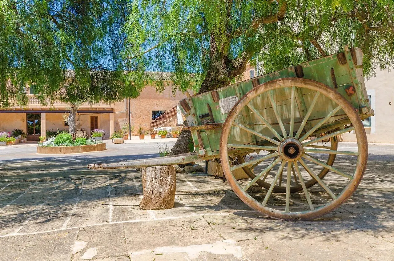 Apartmán Son Sureda Manacor