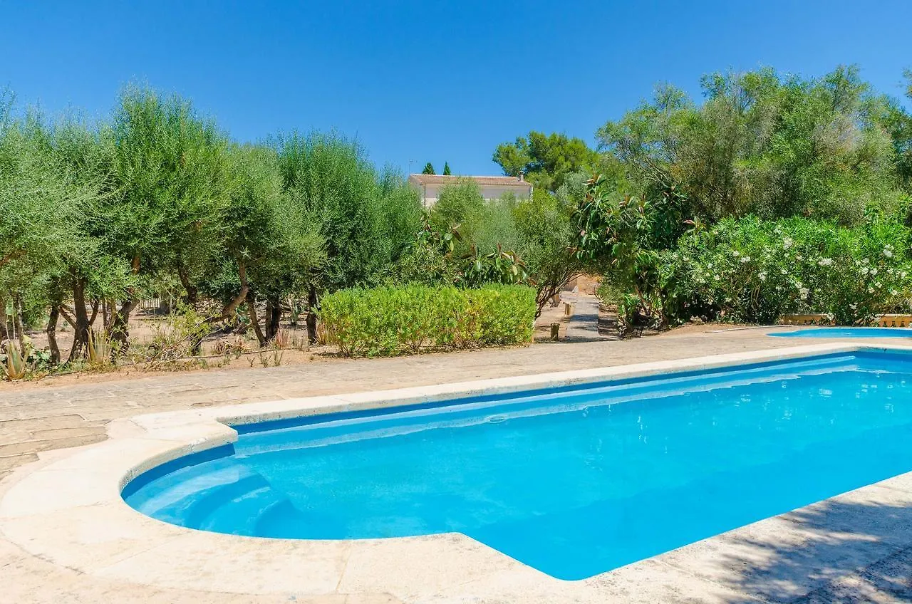 Son Sureda Apartment Manacor  Spain